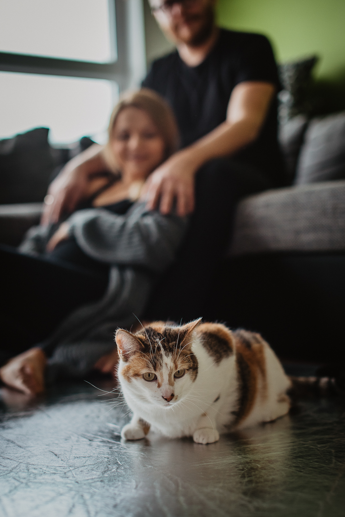 rodzinne zdjęcia ciążowe w mieszkaniu
